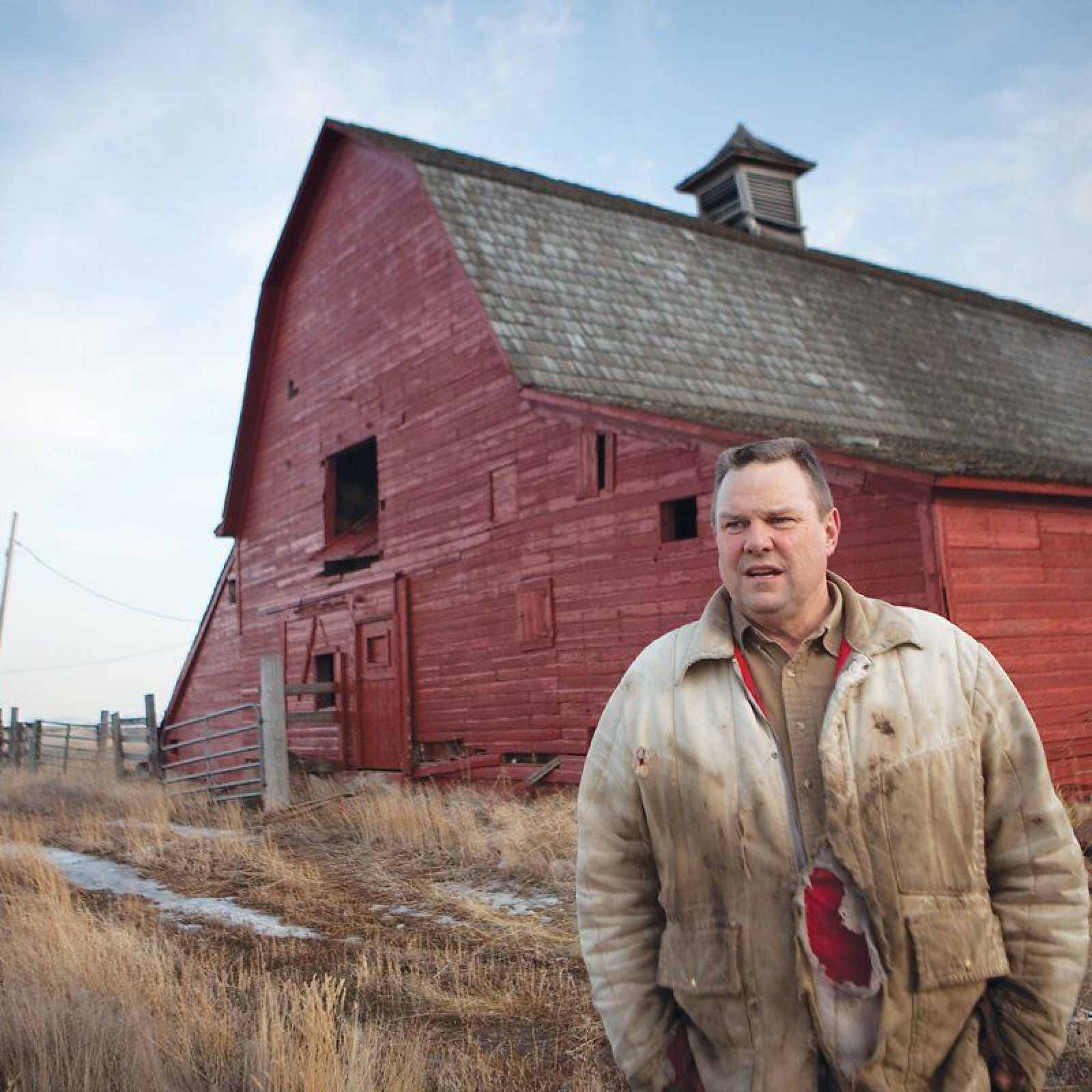 Politicians that dress better than Tim Walz